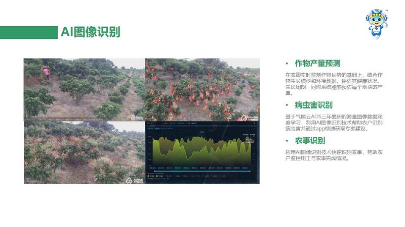 一品一碼農產品溯源系統(tǒng) 一品一碼農產品溯源系統(tǒng)